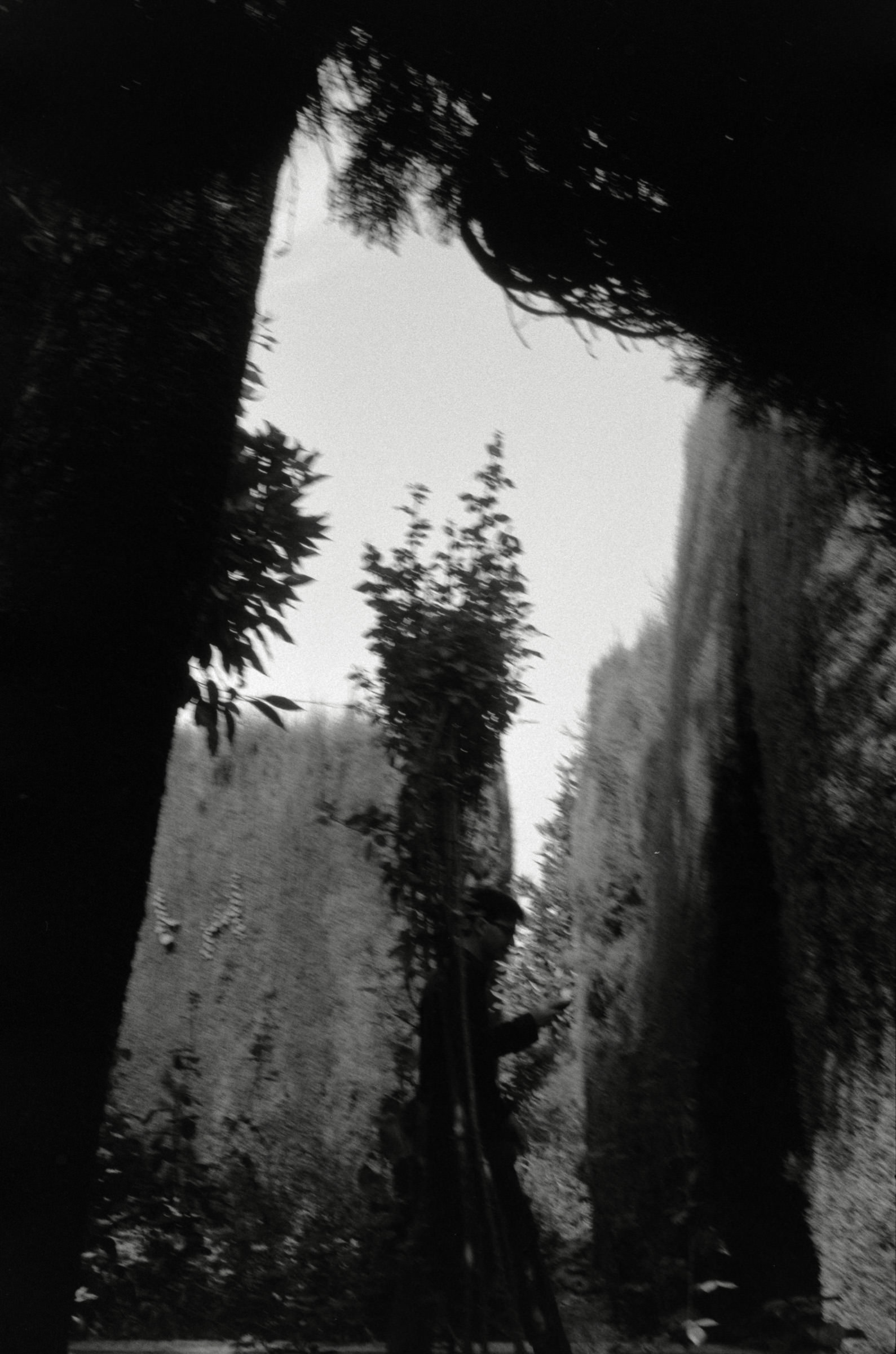 AHP F2001 07 002 sc240901 img04 NLP